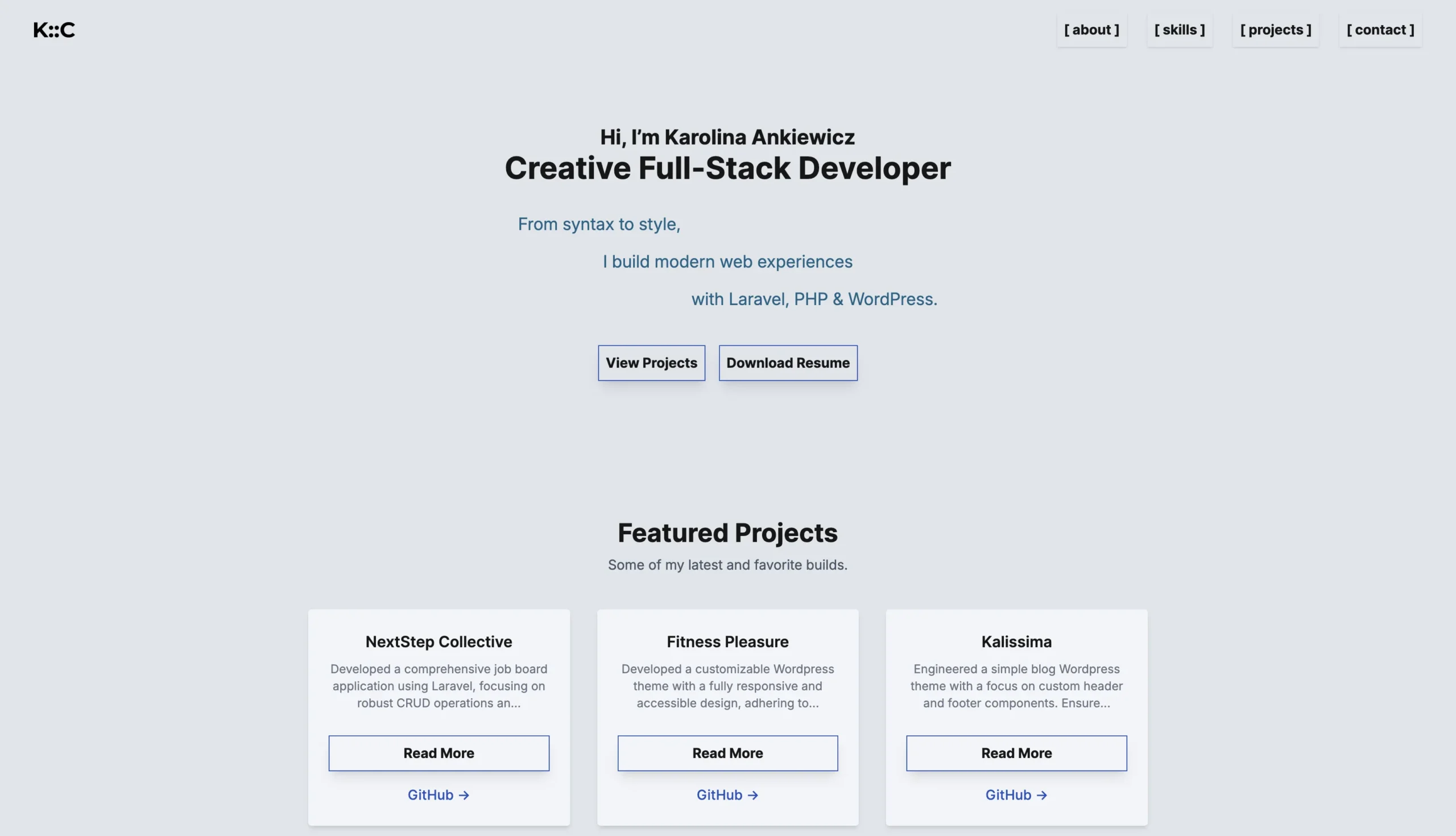 screenshot developer portfolio